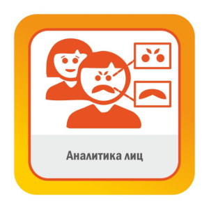 Аналитика лиц, модуль Satvision