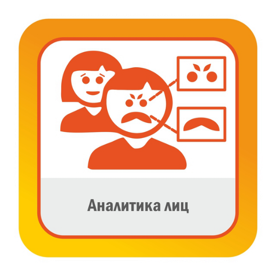 Аналитика лиц, модуль Satvision