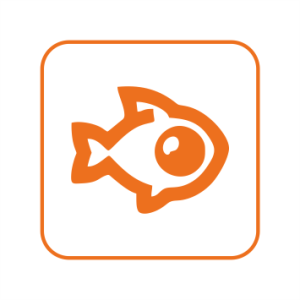 Модуль развертки изображения FishEye-камер